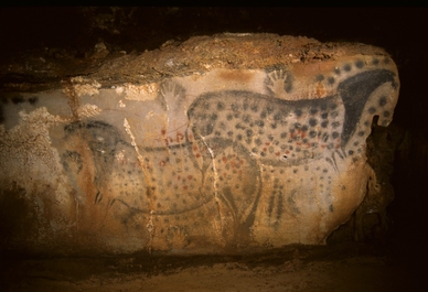 © Grotte de Pech Merle © Grotte de Pech Merle